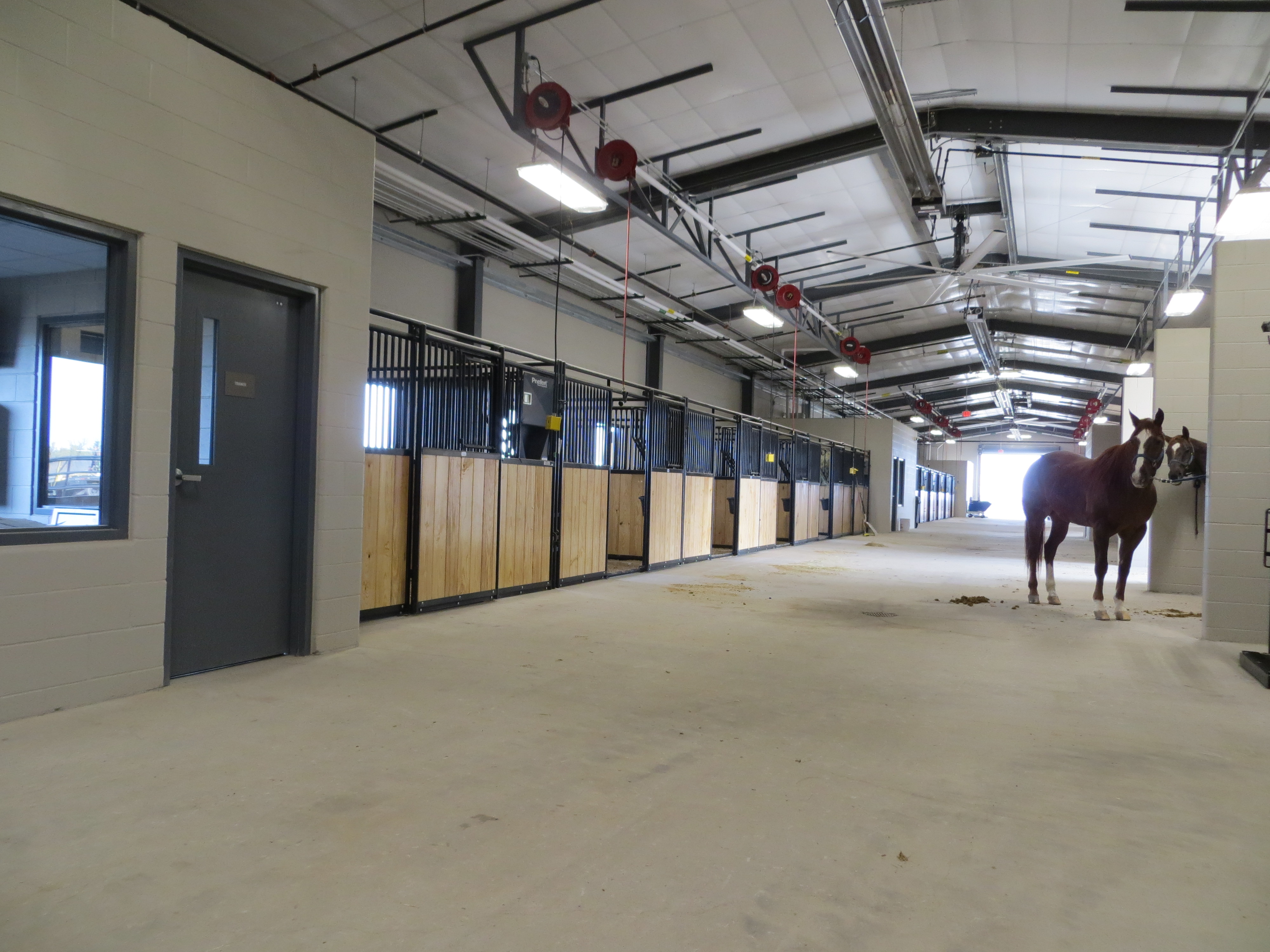 Mounted Patrol 10.JPG